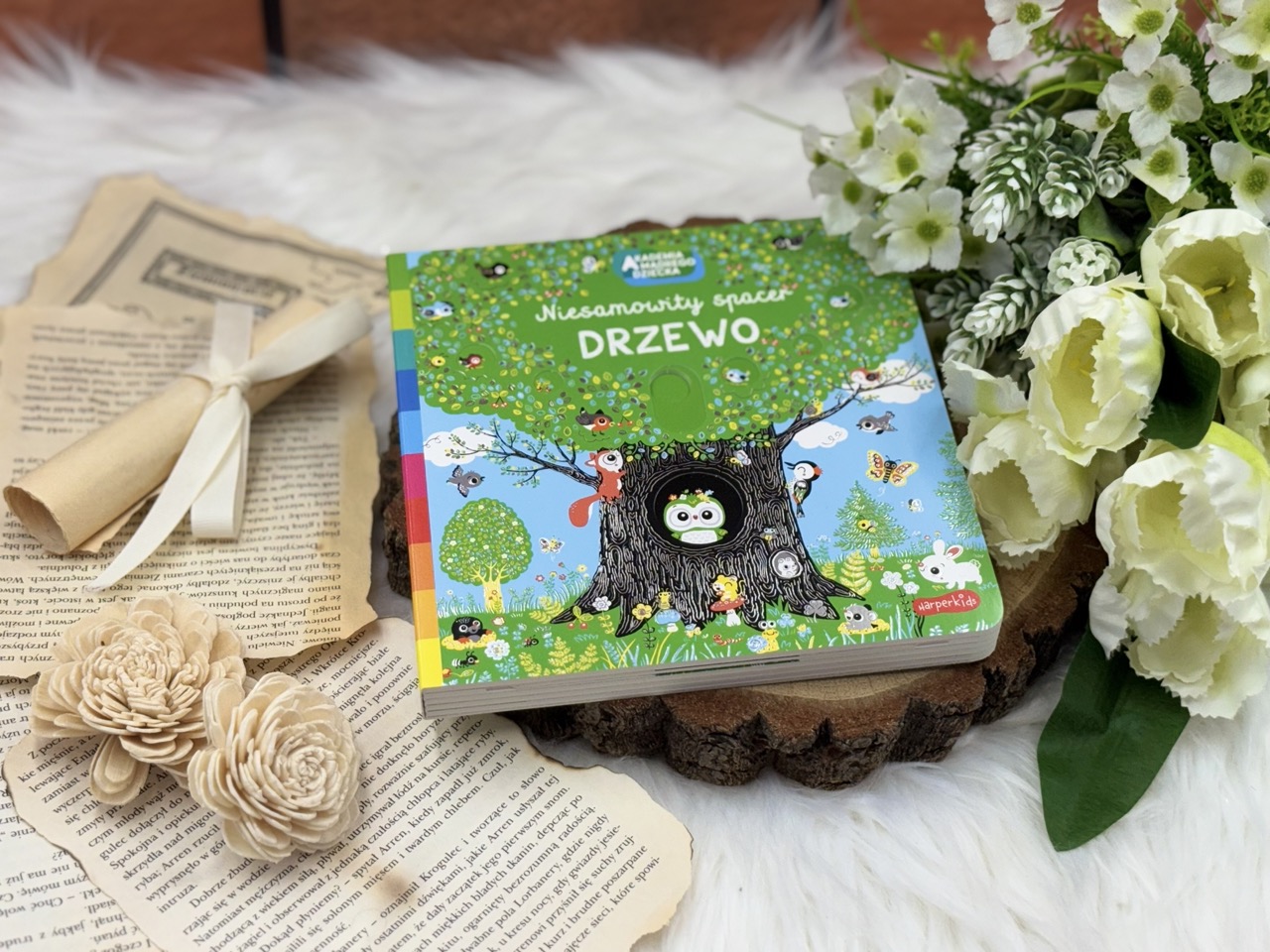 Drzewo