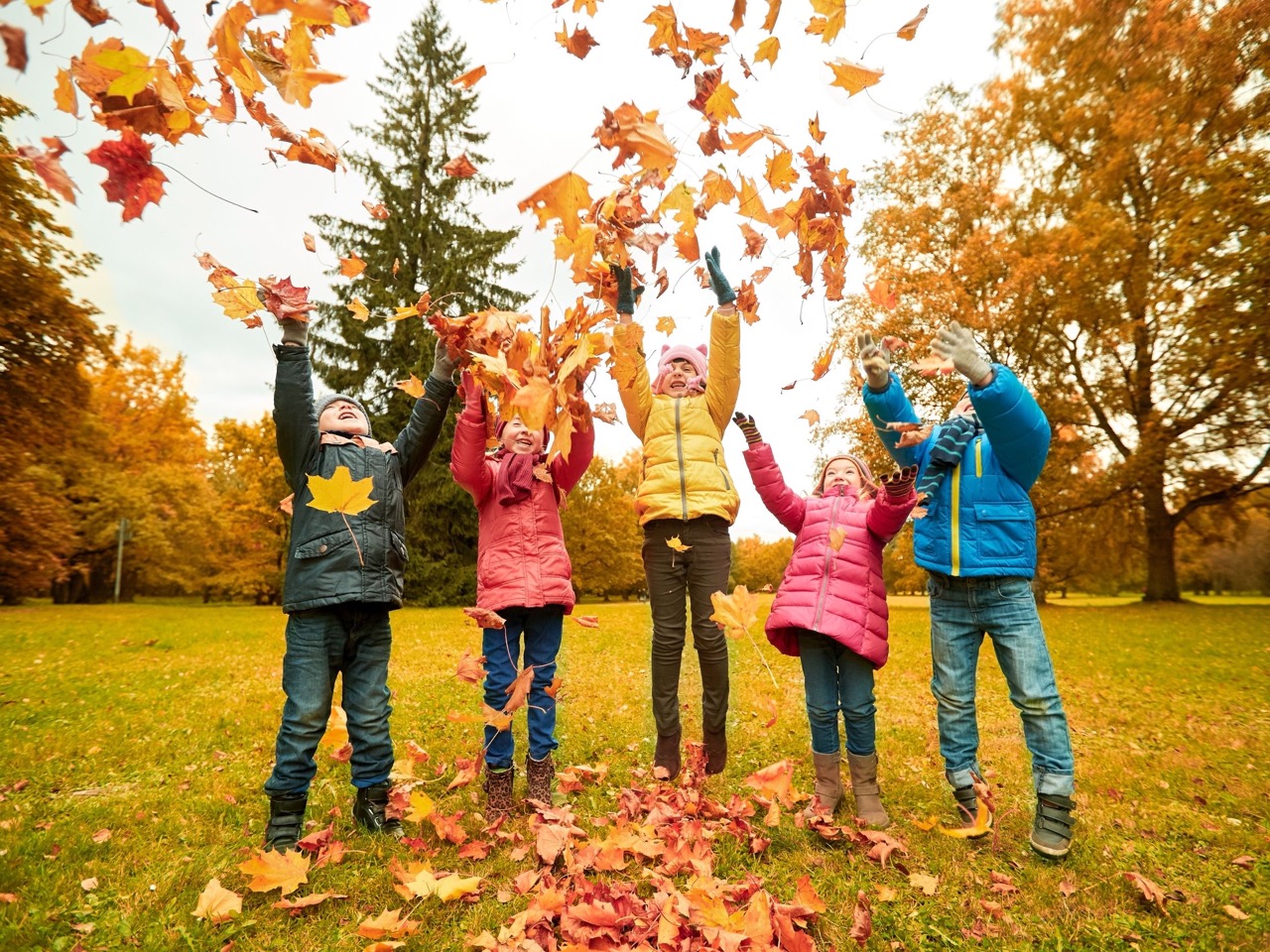 Jesienne planszówki na deszczowe dni – 4 gry, które pokochają dzieci (i rodzice też!)