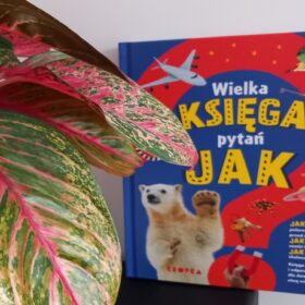 Wielka księga pytań Jak