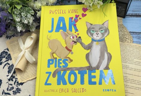 Jak pies z kotem