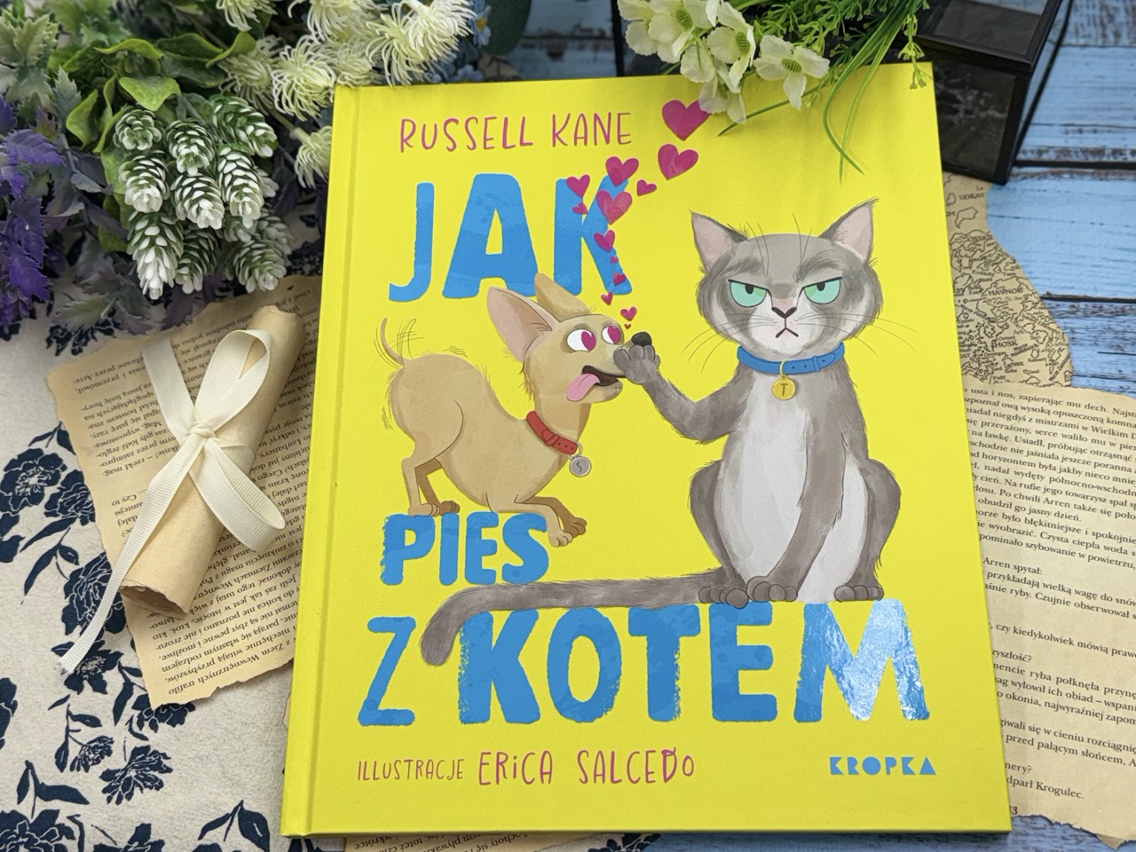 Jak pies z kotem