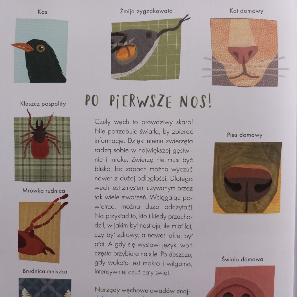 Co mówią zwierzęta?