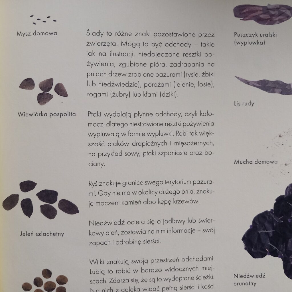 Co mówią zwierzęta?