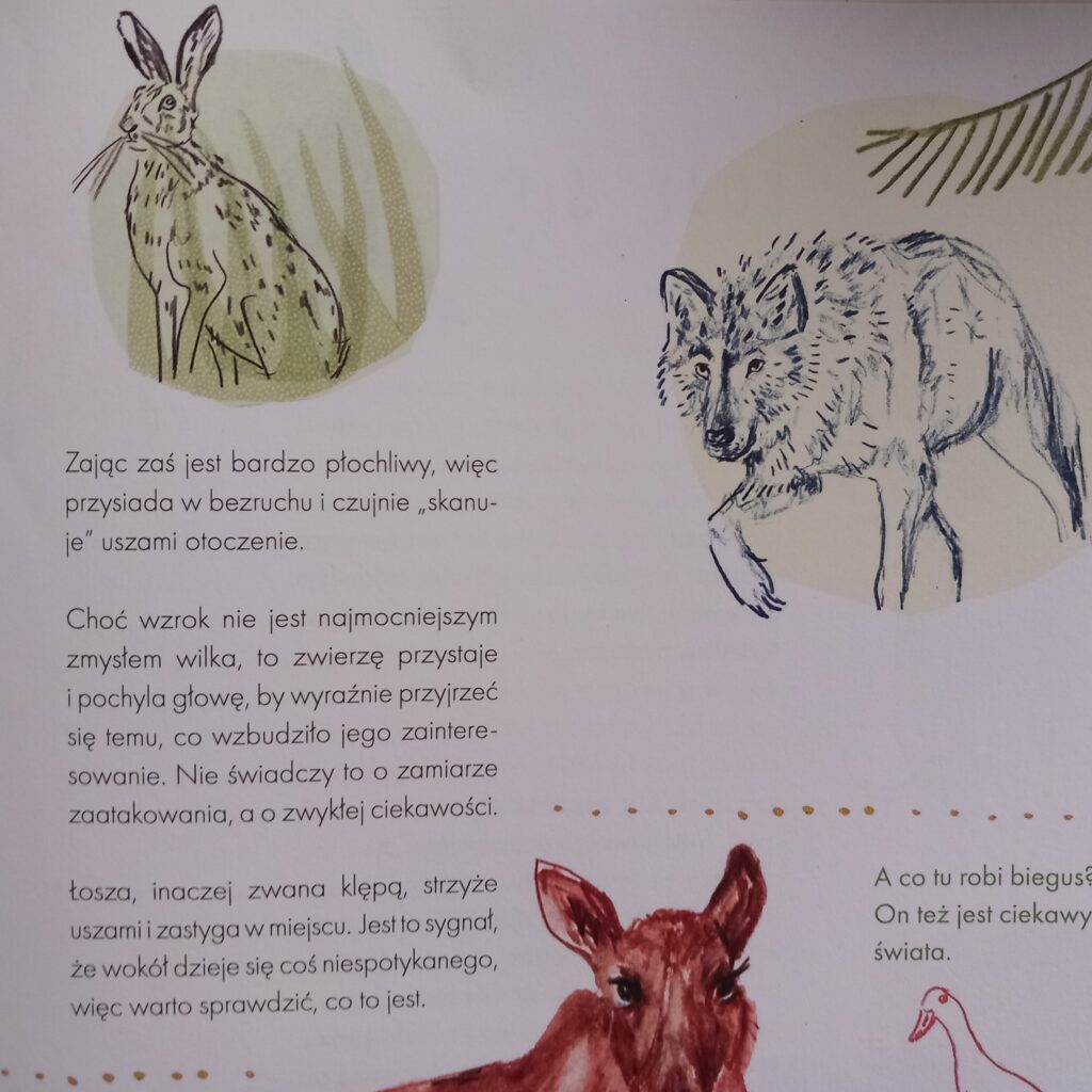 Co mówią zwierzęta?