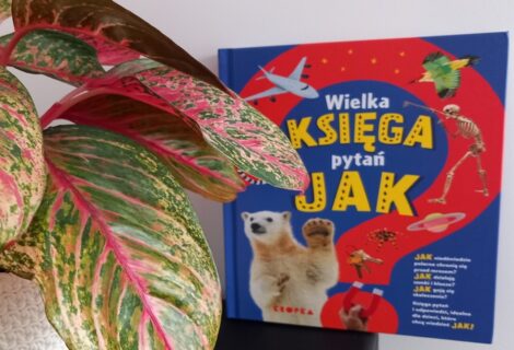 Wielka księga pytań Jak