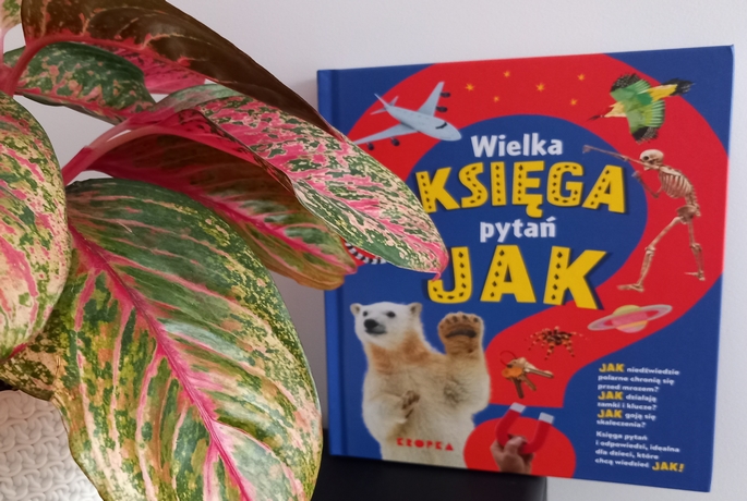 Wielka księga pytań Jak